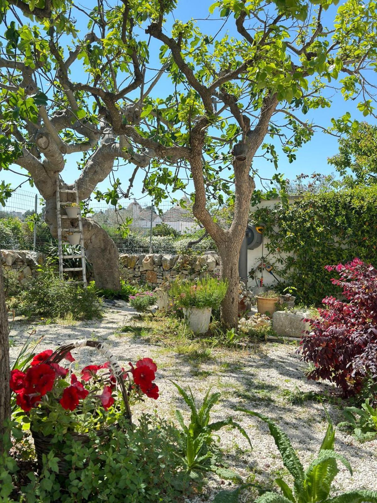 Trulli Resort Aia Piccola Alberobello Eksteriør billede