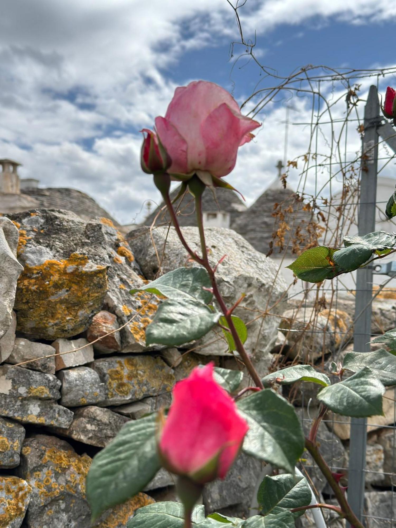 Trulli Resort Aia Piccola Alberobello Eksteriør billede